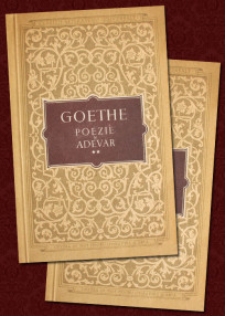 Poezie si adevar (2 vol.) - Goethe