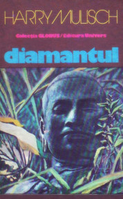 Diamantul - Harry Mulisch